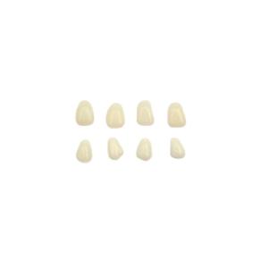 China Orthodontic FDA 3D Printed Removable Tooth Crown Polishing Porcelain Temporary Teeth wholesale