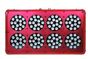 China High power led grow light names all fruits vegetables led coltivazione indoor 300watt wholesale