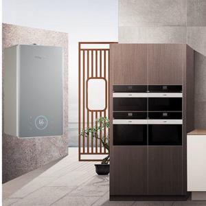 China Wall Mounted Home Gas Boiler Overtime Protection For Radiator And Floor Heating wholesale