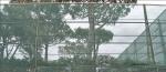 Hdpe Knitted Windbreak Netting