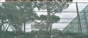 China HDPE Agriculture Shade Windbreak Netting , 70gsm - 110gsm Weight wholesale