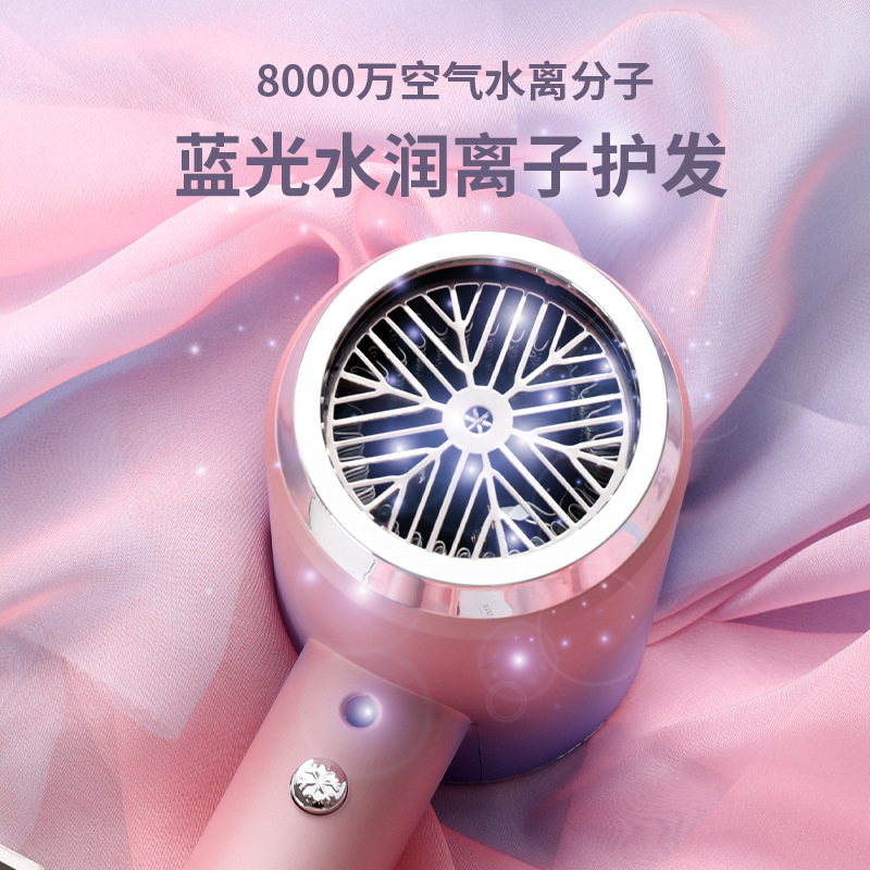 Advanced Blue Light Ion Technology Net Red Hair Dryer with High Power and Hot/Cold Air