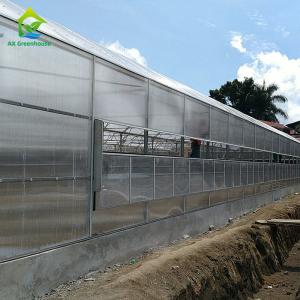 China 6-12mm Polycarbonate Panel Greenhouse Cover Materials For Extreme Weather Areas wholesale