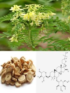 China Manufacturer supply Astragaloside IV 0.3%-98%, CAS No.: 84687-43-4, 100% Astragalus Root Extract, Pharma standard wholesale
