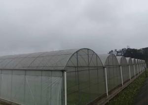 China Glass Tomato Plant Greenhouse With Hydroponic Good Weather Resistance wholesale