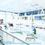 Wax Dissecting Tray Stainless Steel Thicken Dissection Pan Biological Equipment