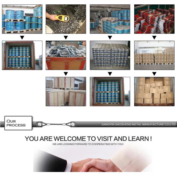 6.35mm Wire Rope Sling Assembly For Grape Trellis With Accessories