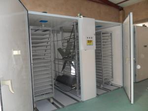 China Egg Trolley 30000 Egg Incubator Hatching Machine wholesale