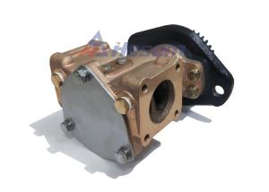 China 6CT Cummins Sea Water Pump P1730 , Cummins Raw Water Pump 3866493 wholesale