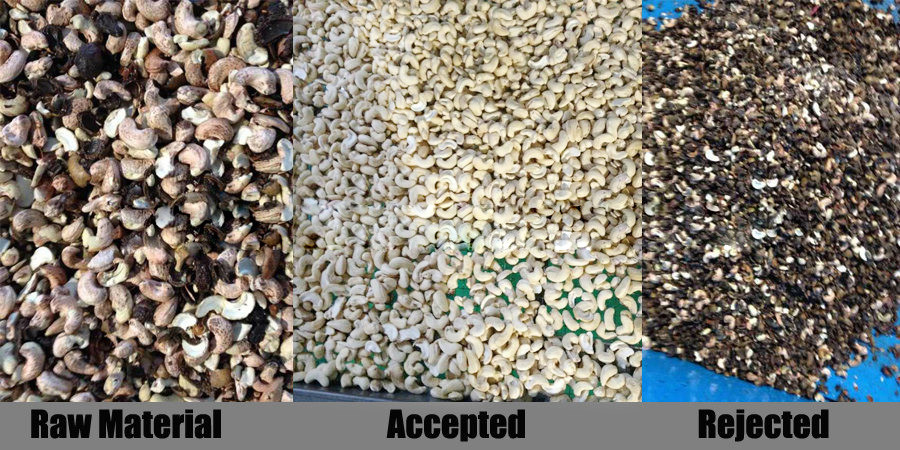 Two Channels Cashew Nuts Color Sorter Full Color 99.9% Sorting Accuracy