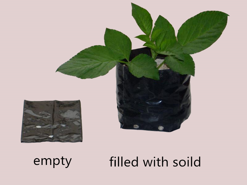 Hydroponic Growing System Plastic Grow Bags Soft Generate Peony Flower Nursery Bag