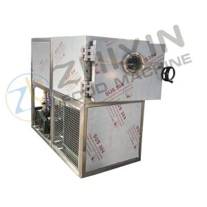 China Frozen Dried Jujube Processing Equipment Freeze Drying Machine wholesale