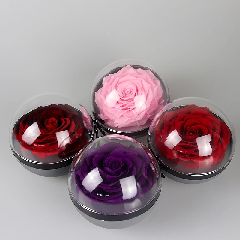 New arrival immortal rose big preserved rose in poke ball rose gift