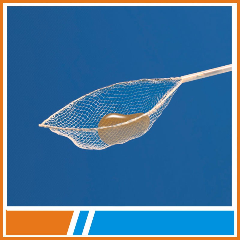 Endoscopic Disposable Loop Net of medical devices