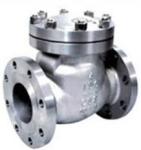 WCB Cast Steel Flange Check Valve DN15 300LB RF Flange Connection