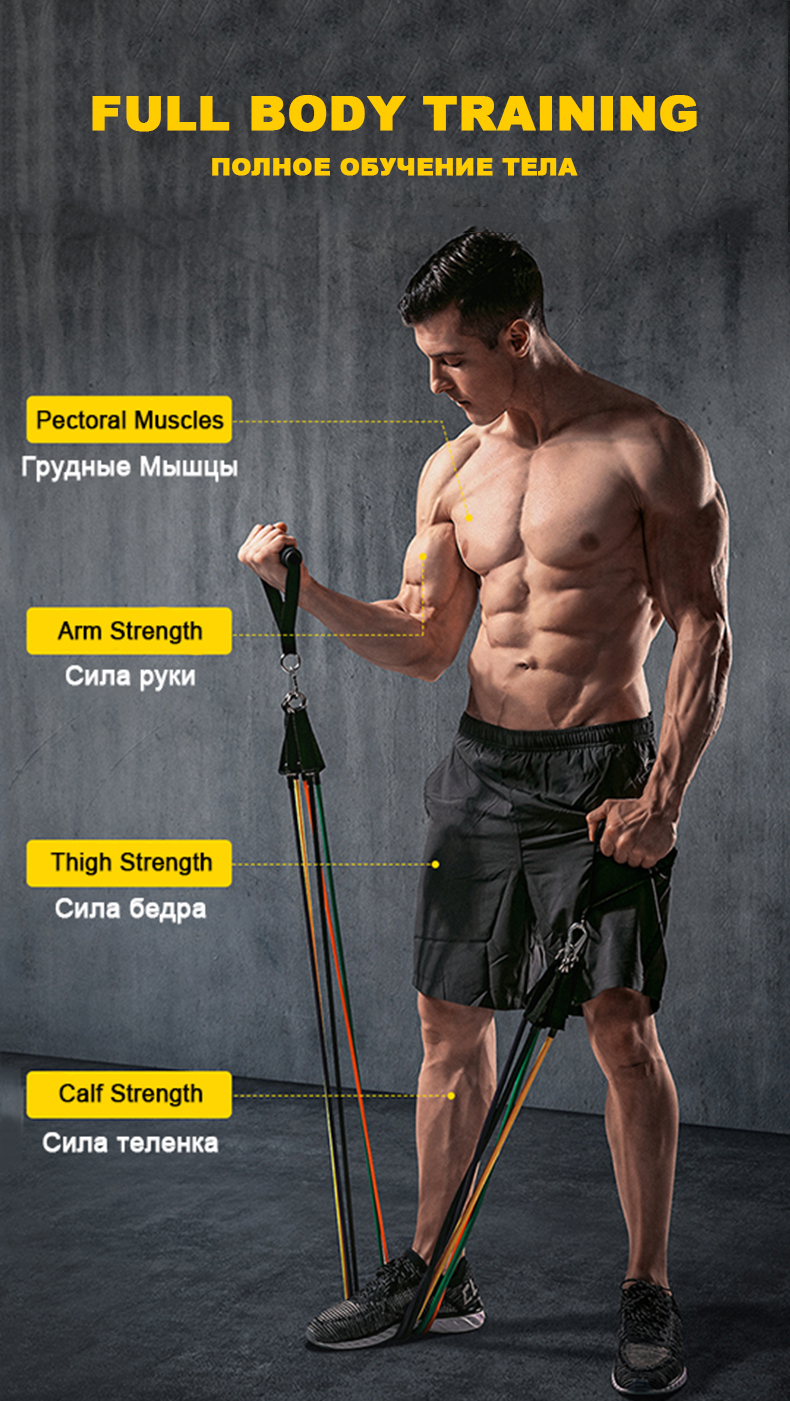 30LB TPE 11 Pcs Resistance Band Set Tube Workout Bands Bodybuilt