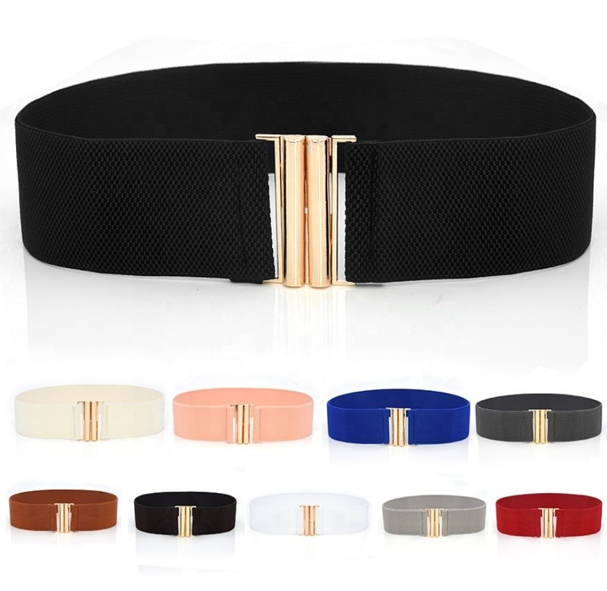 Blue Clasp Elastic Cinch Belt Garment Womens Fancy Dress Belts