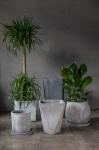 Classic Polygon Planter