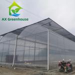 6m 8m 9m Span Clear Plastic Film Greenhouse Vegetable Farming