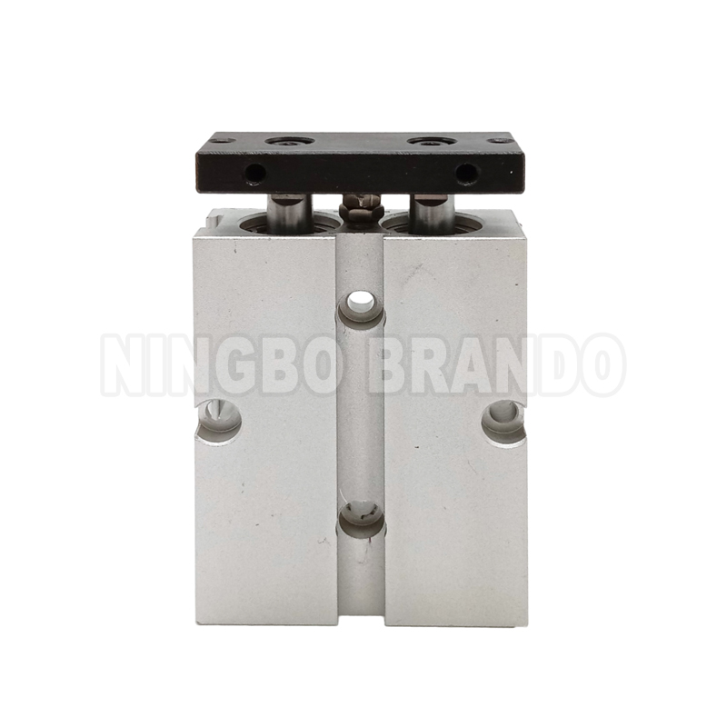 Pneumatic Twin Rod Cylinder (5)