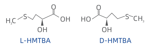 Polymer Modified Mortar Must-Have White Wood Cellulose Fiber with ≤5% Moisture Content