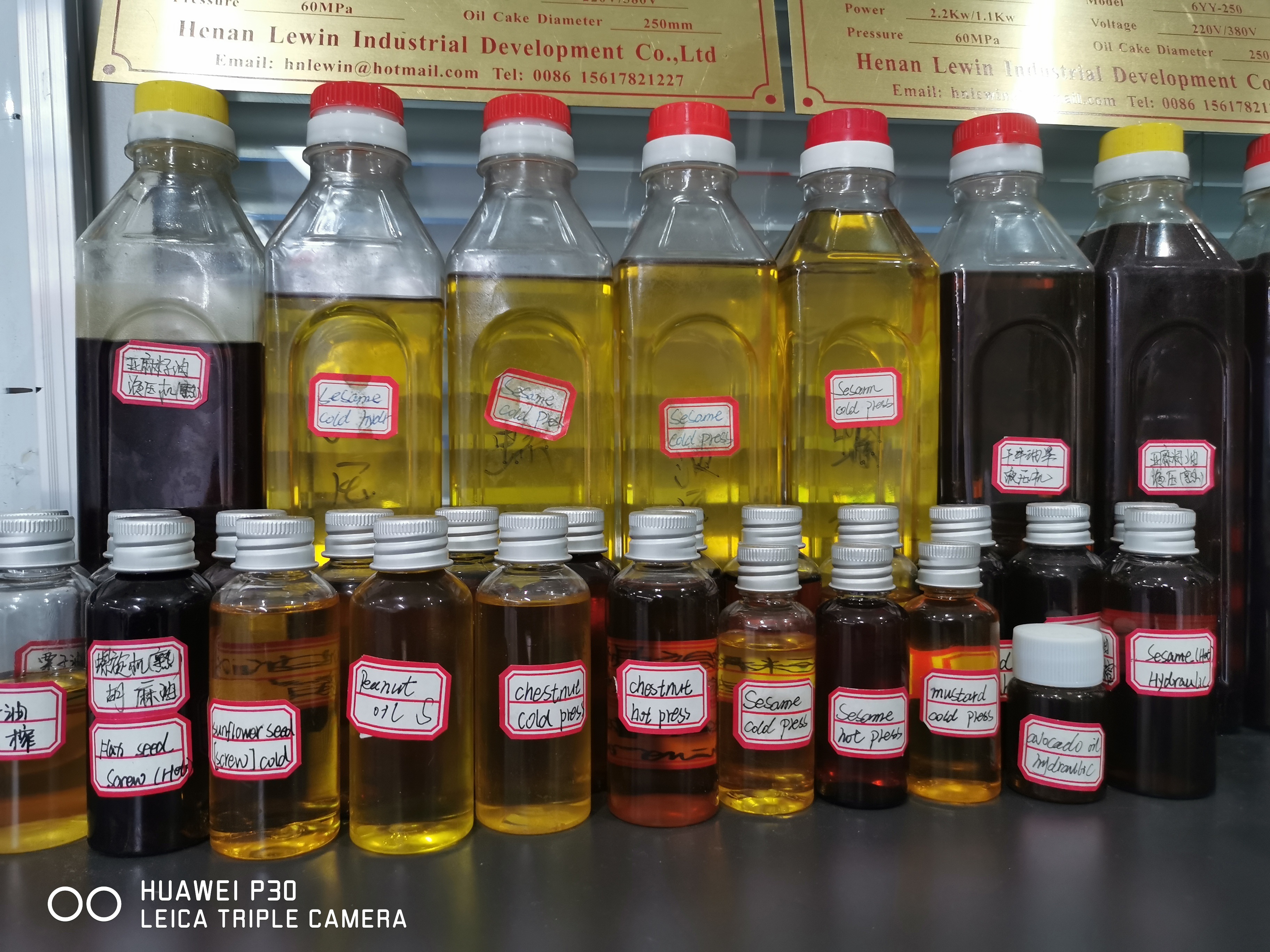 1.1 KW Avocado Oil Press Machine 60 Mpa For Small Business Shea Butter