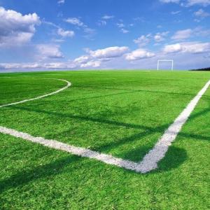China Football Field Synthetic Artificial Grass Anti UV For Landscaping Decoration OEM ODM wholesale