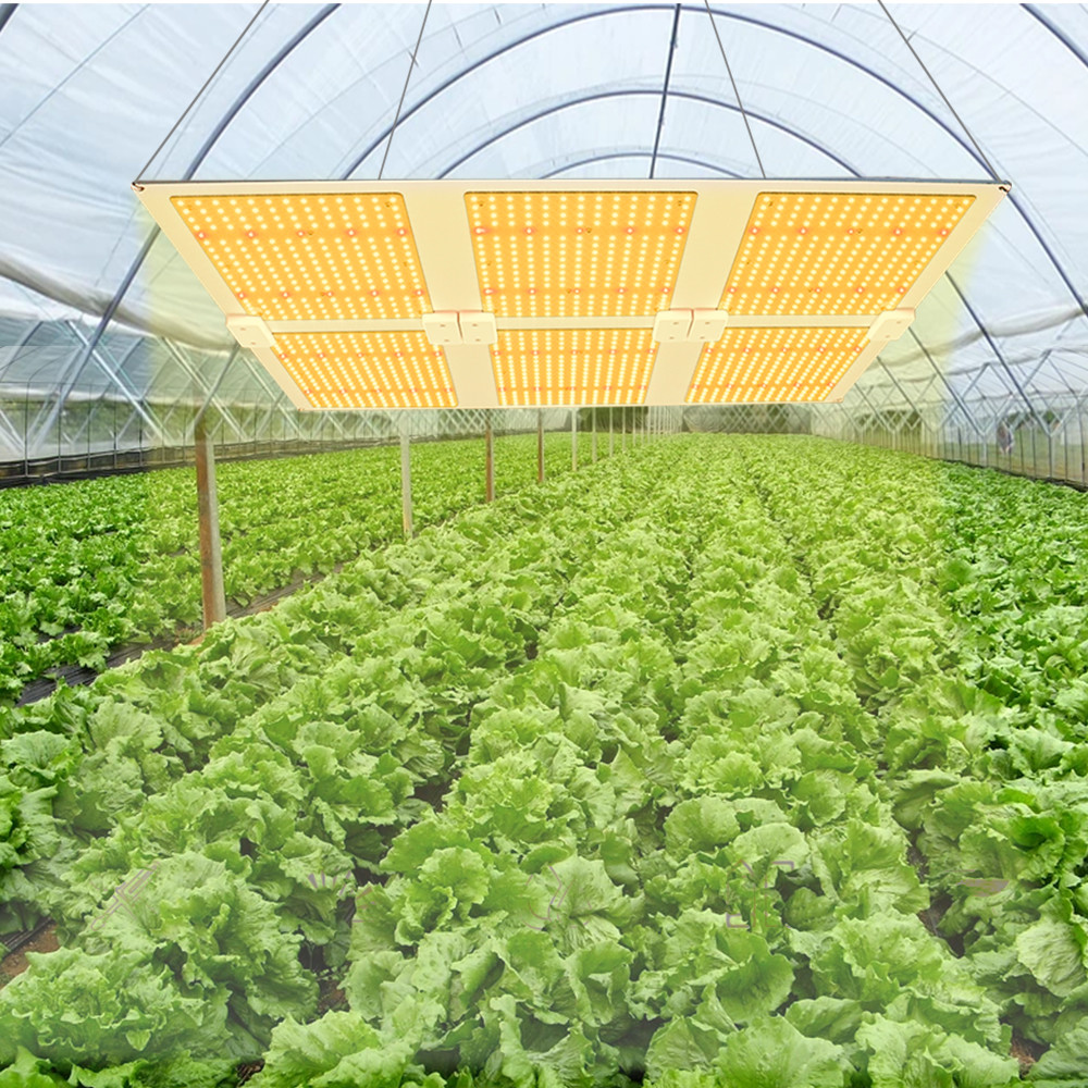 Customized LED Chip Lm301b PCB Quantum Board For Plant Grow Lights