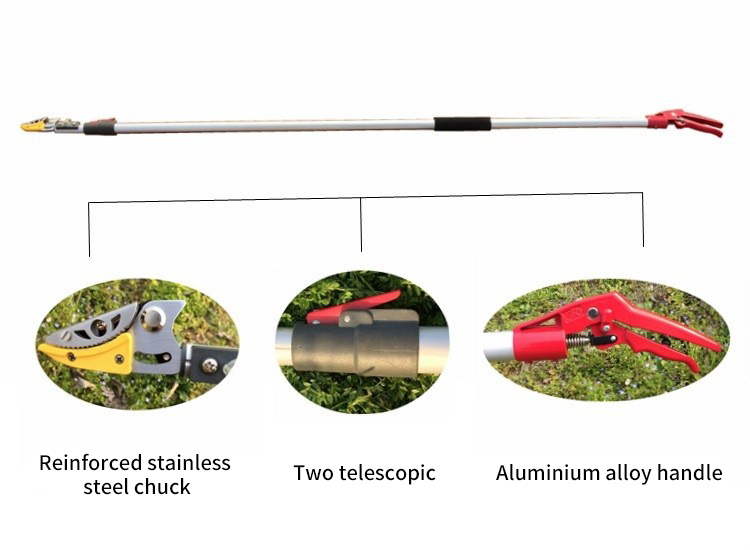 Garden Long Cordless Pruner With Extension Pole Branch Loppers Telescopic