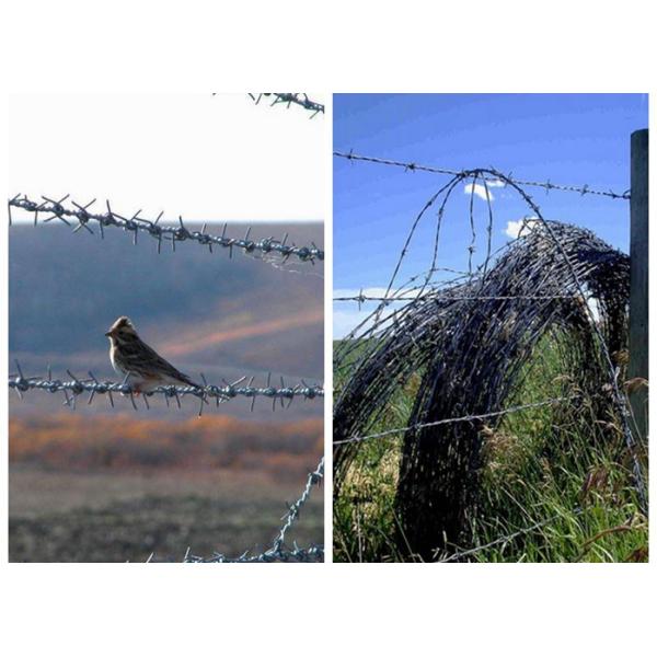 Double Strand 2MM Coiled Barbed Wire Mesh , Highway GI Wire Mesh
