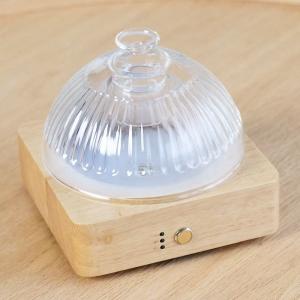 China Aroma Diffuser With Glass Oil Reservoir ▕ DN-839 wholesale