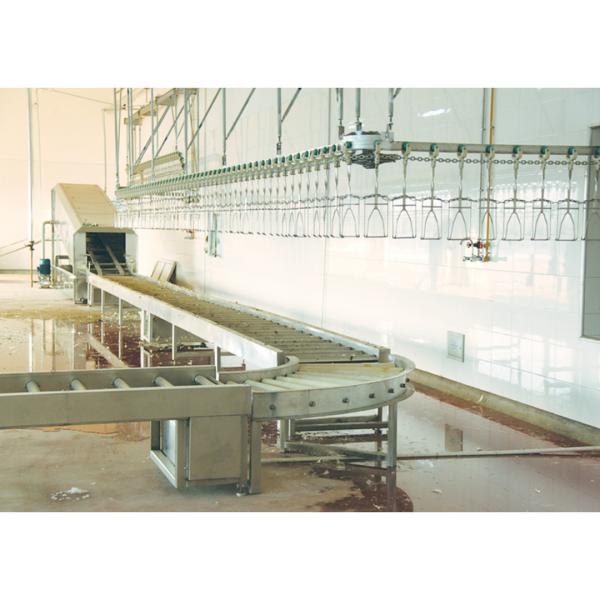 High Quality Poultry Feather Plucking Machine /poultry Plucker Fingers / Chicken