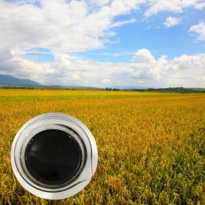 China 30% Liquid Amino Acid Organic Nitrogen Fertilizer With 6.5% Organic Nitrogen wholesale