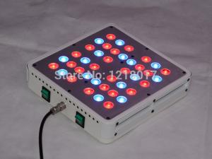 China Factory Direct Price 2016 High Quality China apollo 4 Led Grow Light wholesale