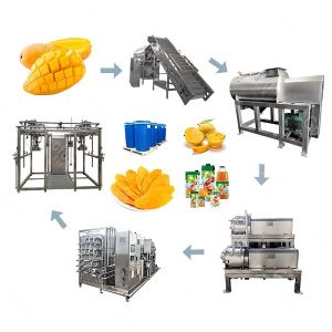 China 500T/D Industrial Mango Processing Line Turnkey Service SUS304 / 316L wholesale