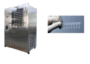 China Vacuum Stayfresh Freeze Dryer 6kg/Batch Capacity Automatic wholesale