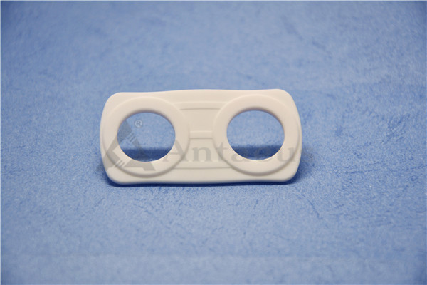 Advanced Technical 95 Aluminium Oxide Ceramics Al2O3 Alumina Ceramic Casing