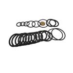 Oilfield AS568 NBR FKM Rubber Seal Kits #10 Setting Tool