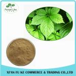 Wholesale Natural Saponins 20 %- 98 % Gynostemma Extract for Lower Blood