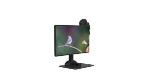China Spine Rigidity Unique LCD Monitor Stand Ergonomics Laptop Arm wholesale