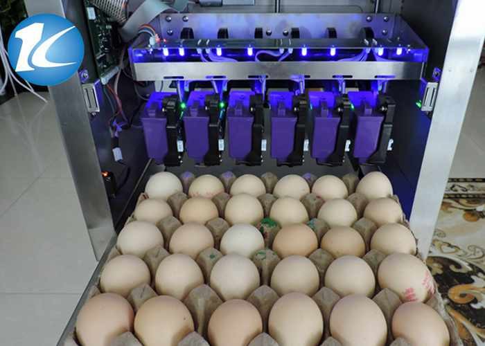 One Year Warranty Egg Marking Equipment With Six Spray Egg Printer Effect