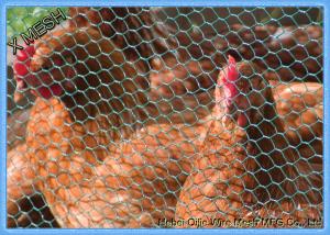 China PVC Coated Heavy Duty Chicken Wire Stainless Steel Netting Mesh For Farms wholesale