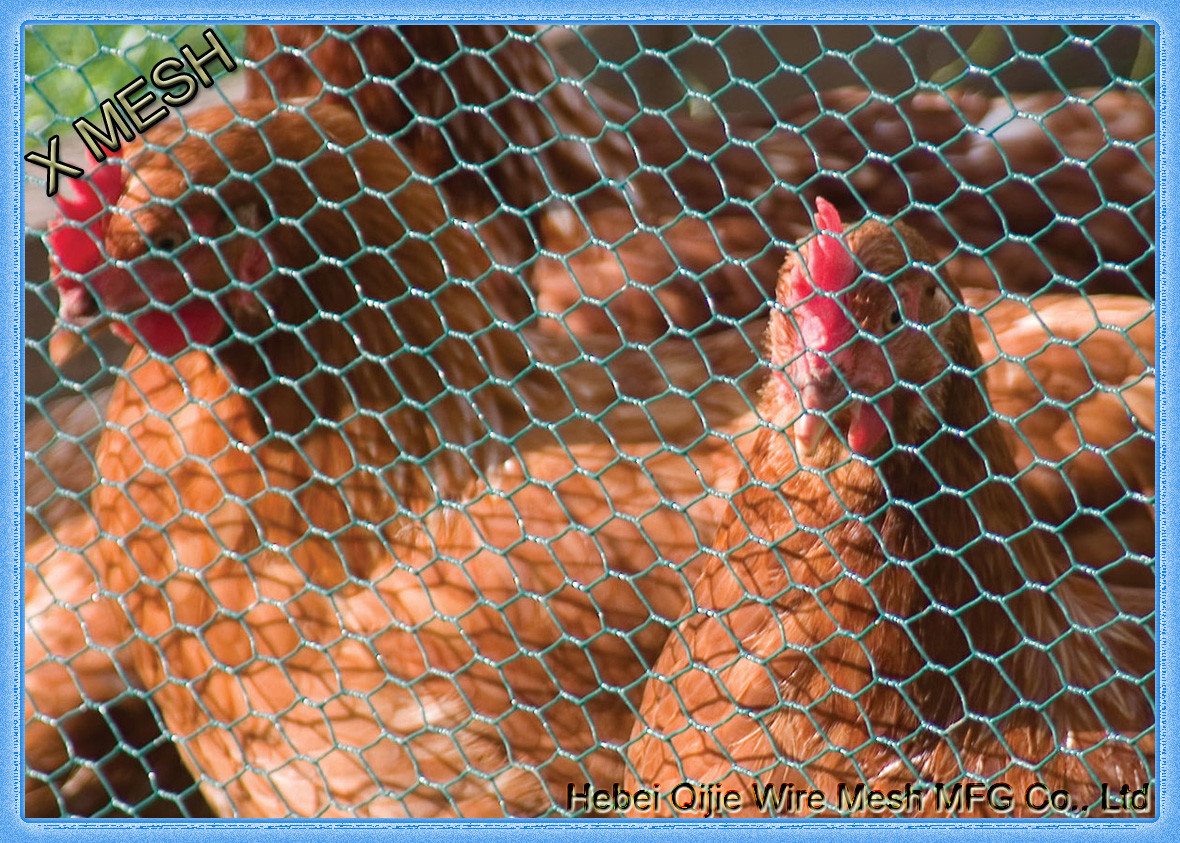 3/4" X 3/4" Electro Galvanized Hexagonal Chicken Wire Netting
