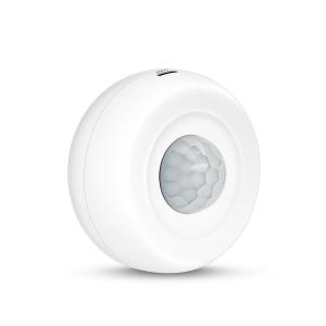 China GR-PIR500TZ TUYA and Zigbee Temperature and Humidity Detector wholesale