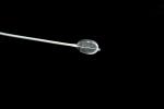 Surface Anti Biodegradation Balloon Catheter Used For Human Dilation
