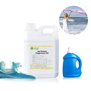 China Splendid Fantasy Ocean Detergent Fragrances Scented Laundry Detergent Oil wholesale