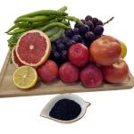 Soluble In Water Humic Acid With 100% Water Solubility