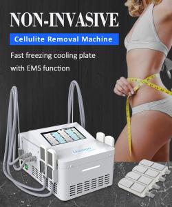 China EMS Cryo Shape Wieght Loss Fat Freeze Slimming Machine 200us wholesale