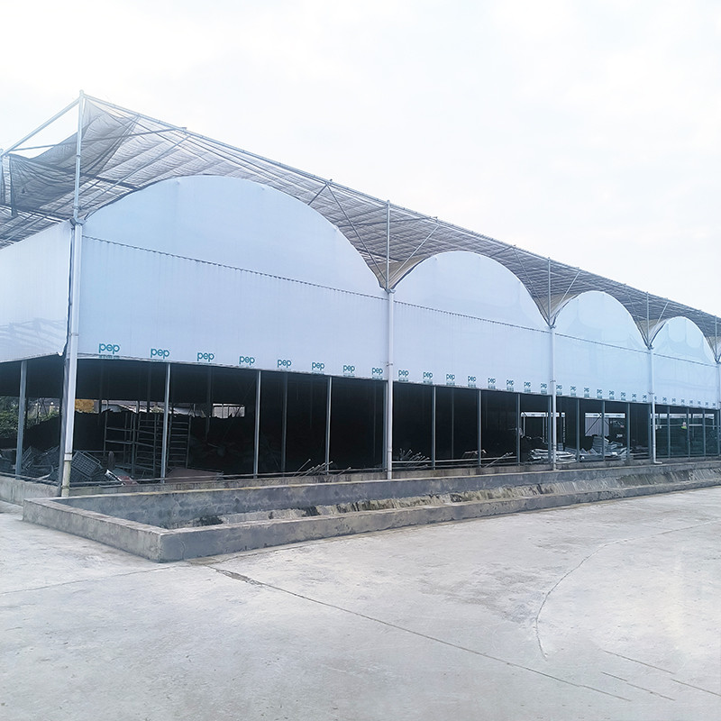 Agriculture Plastic UV Film Poly Tunnel Multi-span Tomato Smart Greenhouse