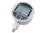 RoHS 9V SS304 Digital Pressure Gauge With Plastics Case